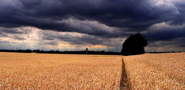 Field and sky, Credit: Jesper Dyhre Nielsen