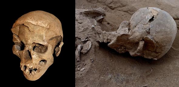 Left: Skull of a man found lying prone in the lagoons sediments. The skull has multiple lesions consistent with wounds from a blunt implement. Right: The skull in situ. , Credit: Marta Mirazón Lahr