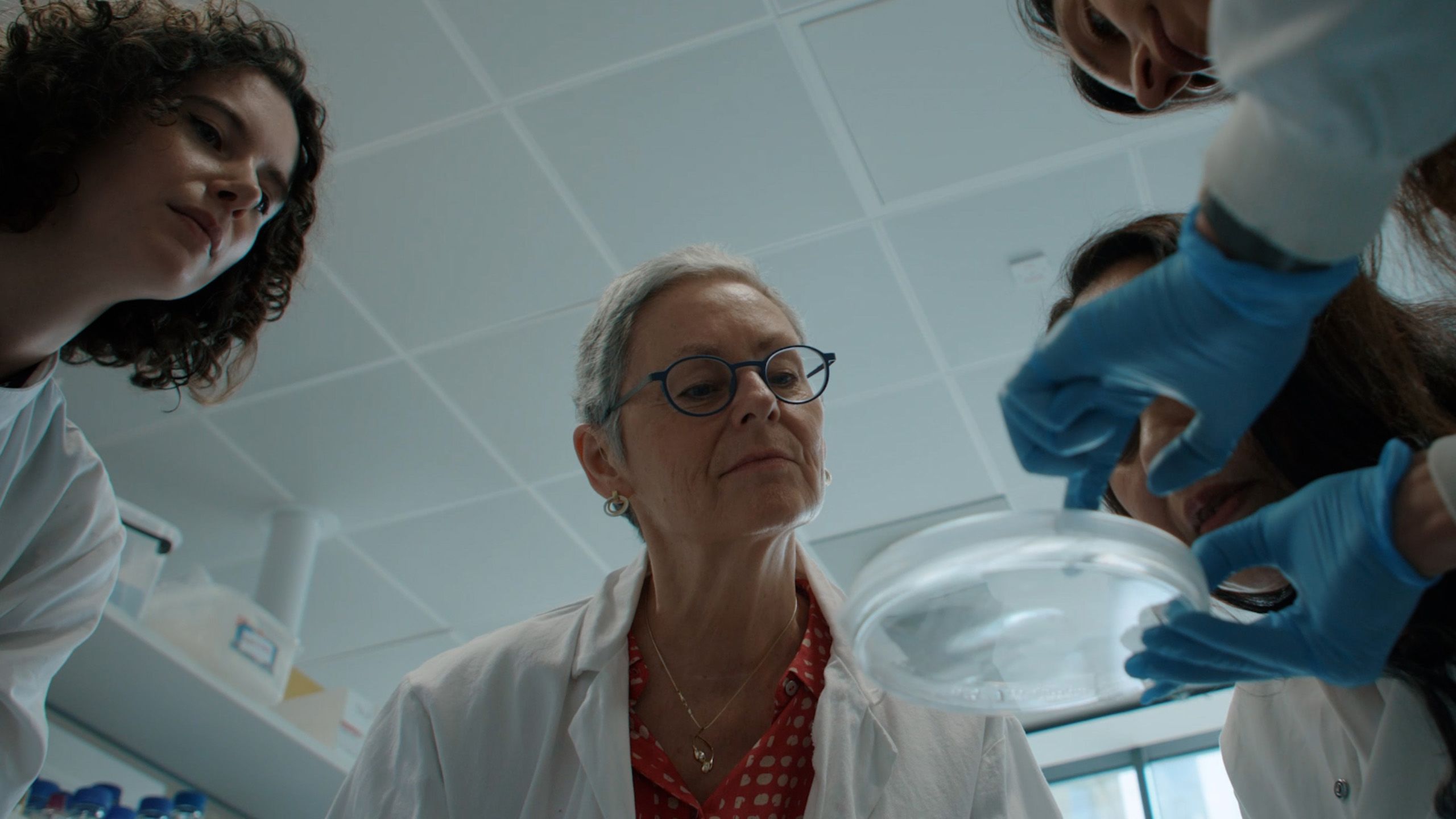 Photo of Christine Holt