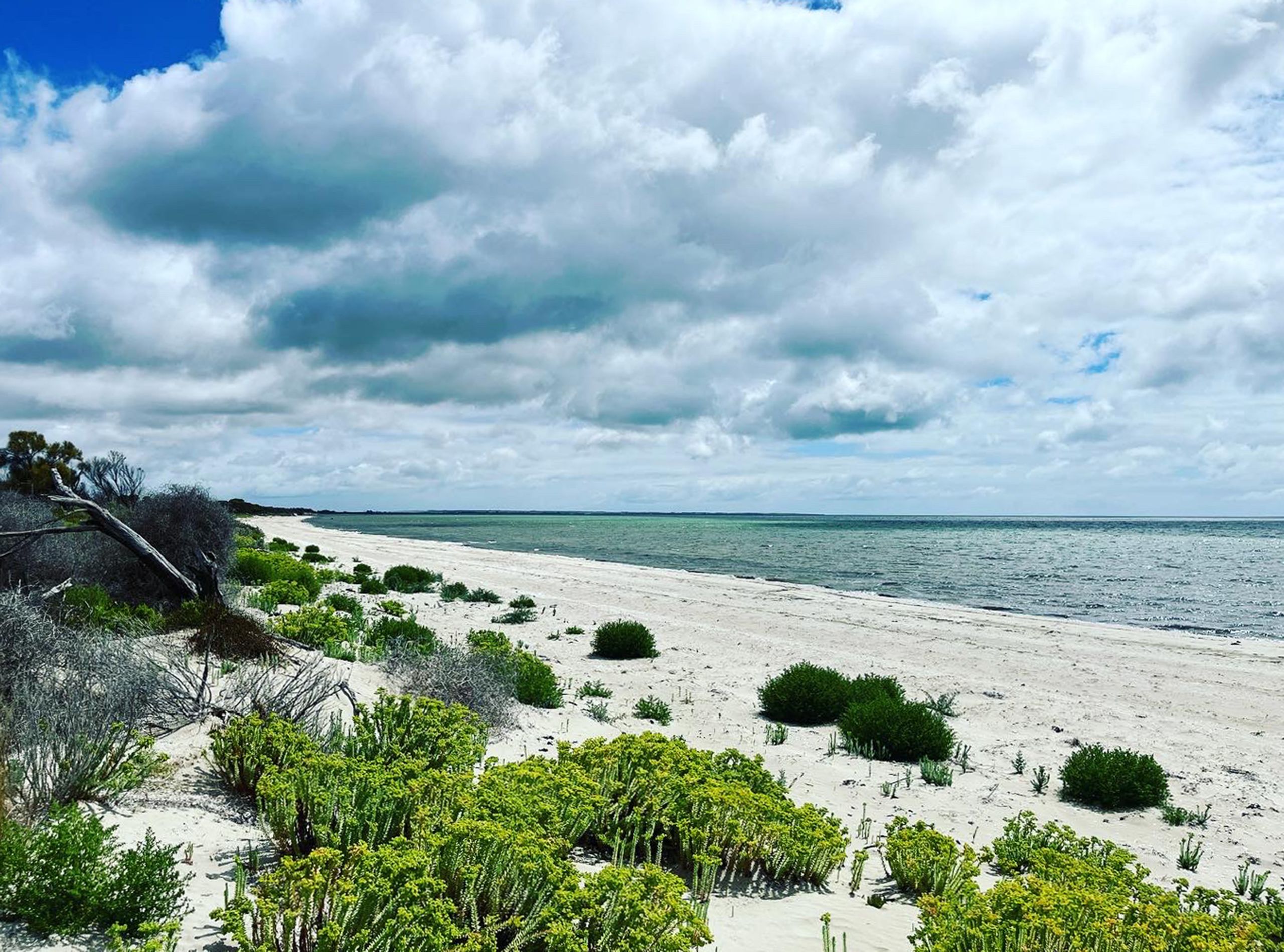 Landscape of the Yorke Peninsula, Australia