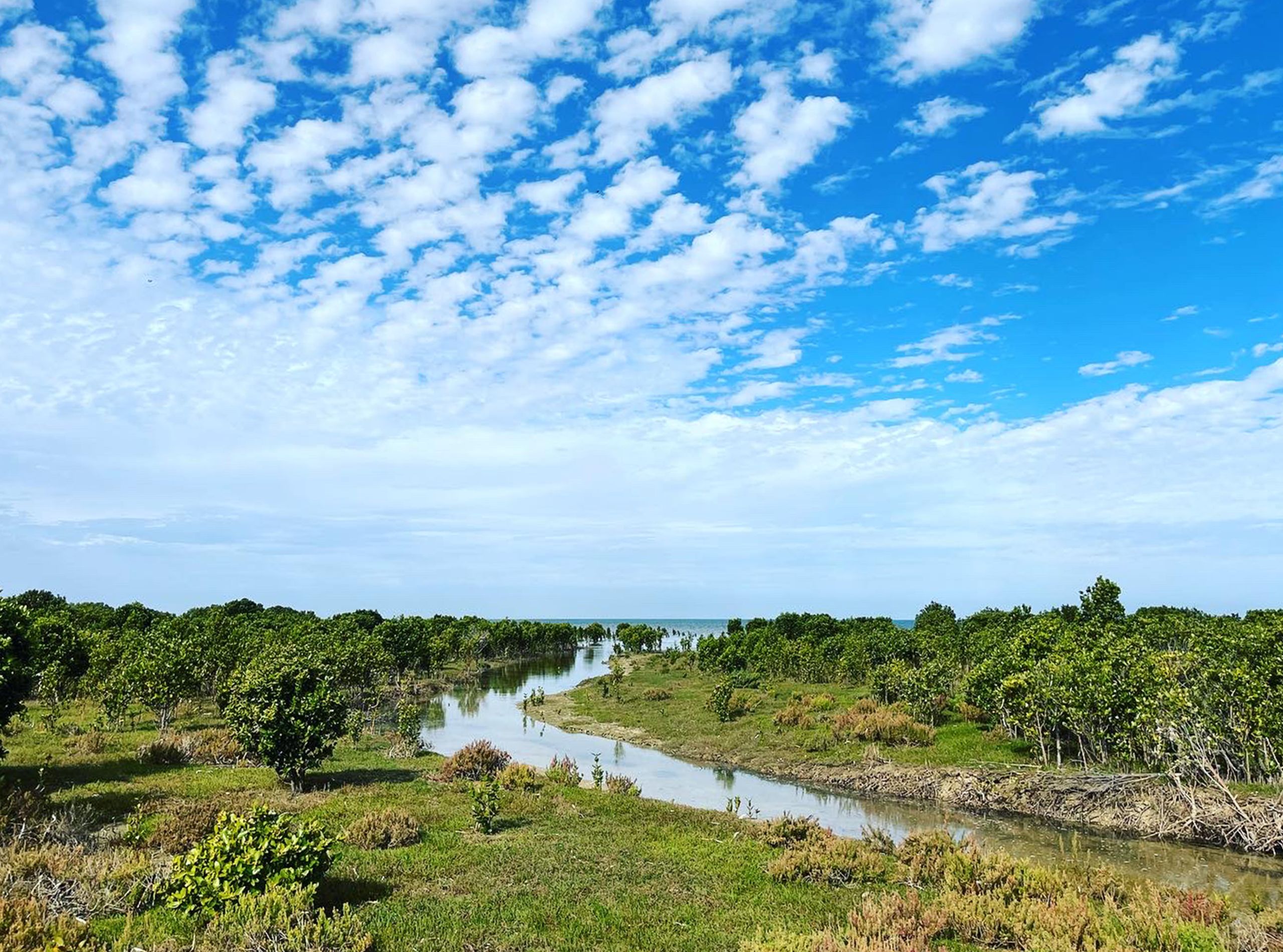 Landscape of the Yorke Peninsula, Australia.
