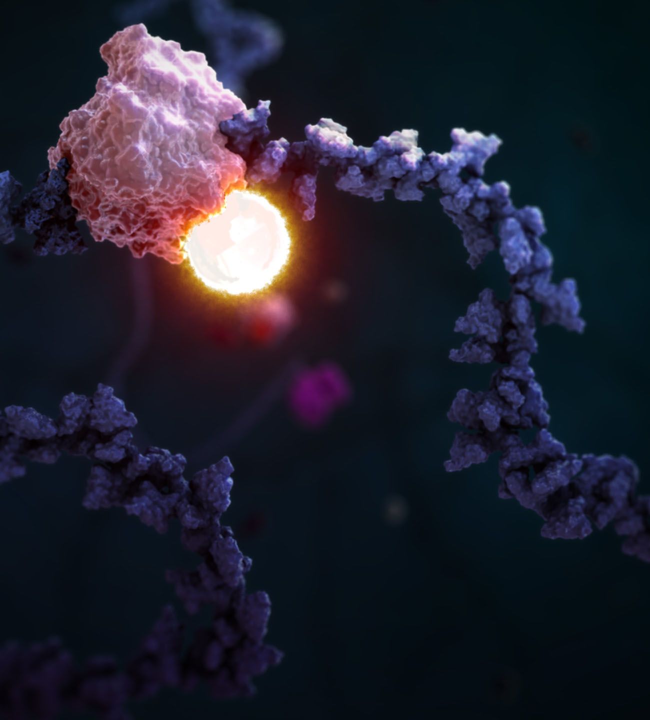 RNA Epigenetics