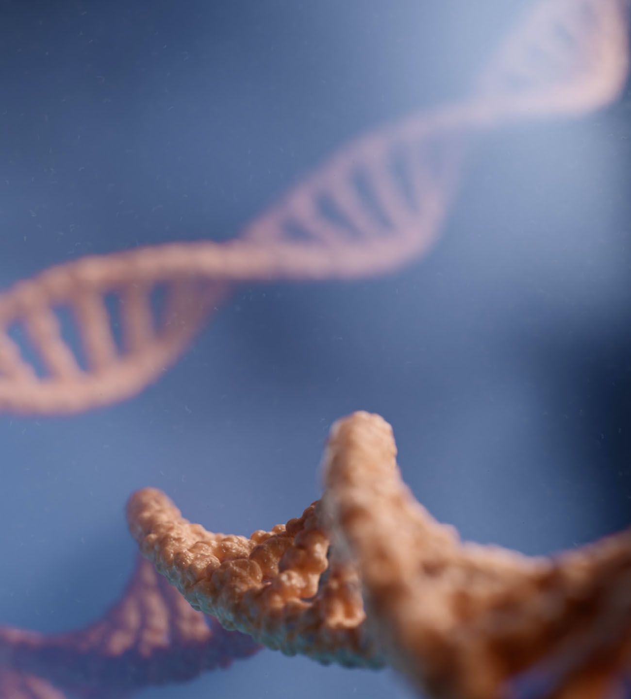DNA double helix structure