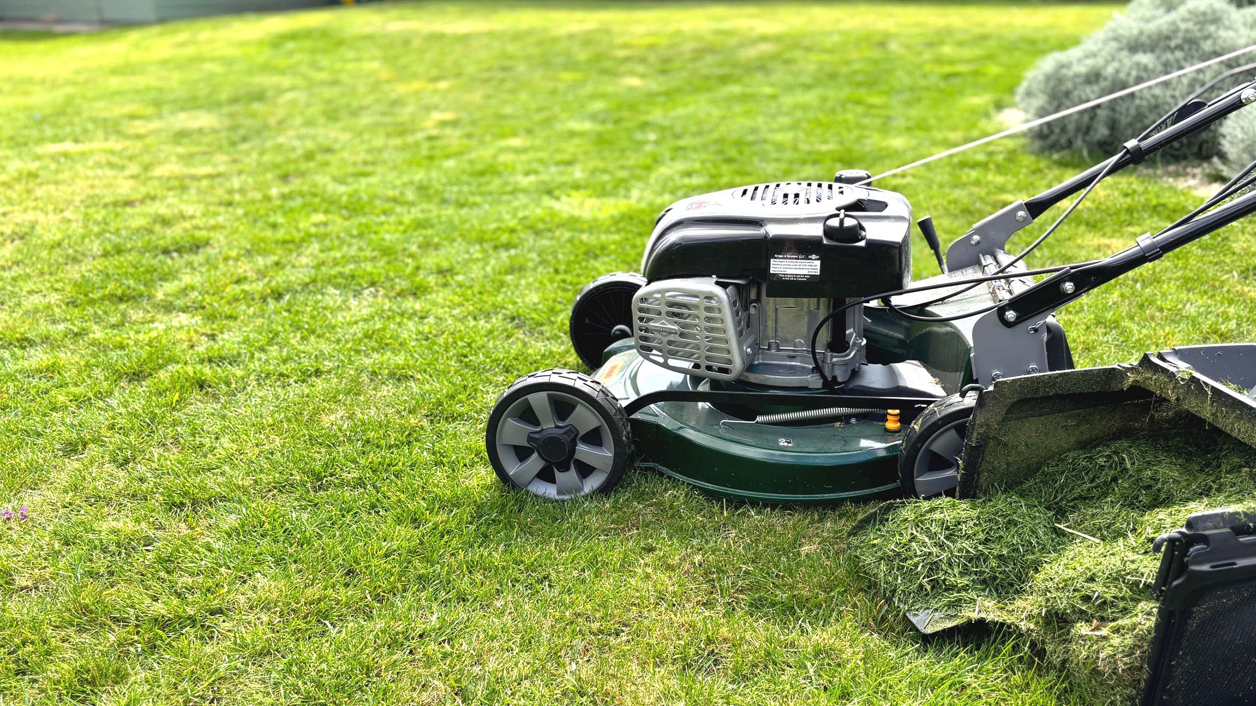 A green lawnmower on a mown lawn next to a grass box full of grass