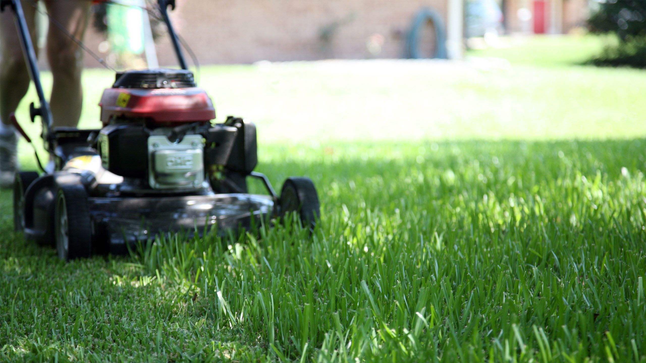 A person driving a lawnmower over uncut grass