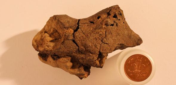 Image of specimen