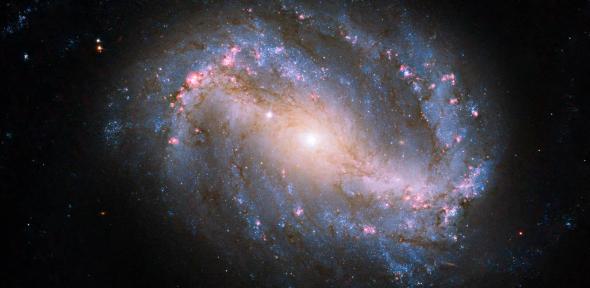 Barred Spiral Galaxy NGC 6217 