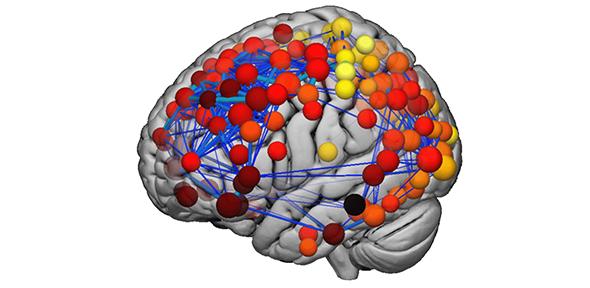 The brain’s structural network. The hubs of this network continue to develop during adolescence.