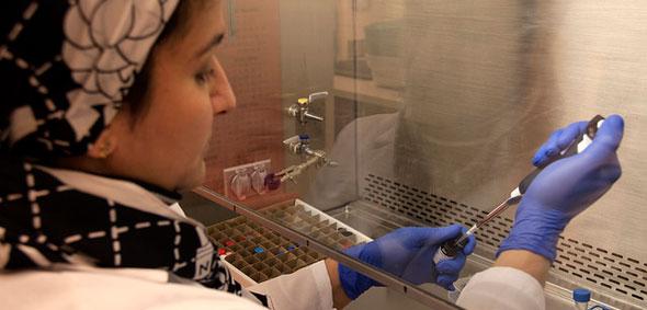 Stem Cell Research