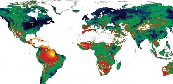 Initial ISI-MIP simulation showing the effects on vegetation productivity at the highest emissions scenario (reduction: red to yellow; increase: green to blue) 