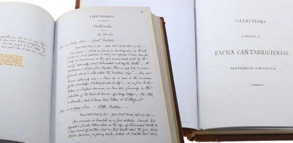 Original manuscript of Fauna Cantabrigiensis