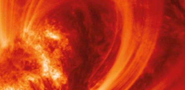 Sun's active region loops