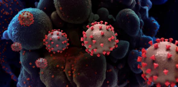 Creative rendition of SARS-COV-2 virus particles