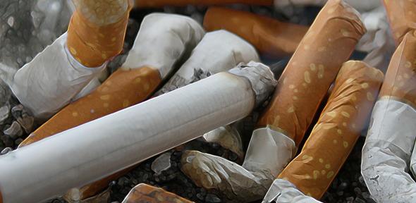 Close-up of cigarettes