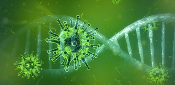 Coronavirus