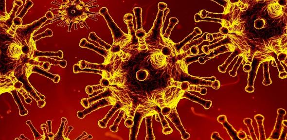 Coronavirus
