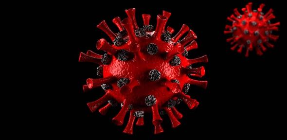 Coronavirus