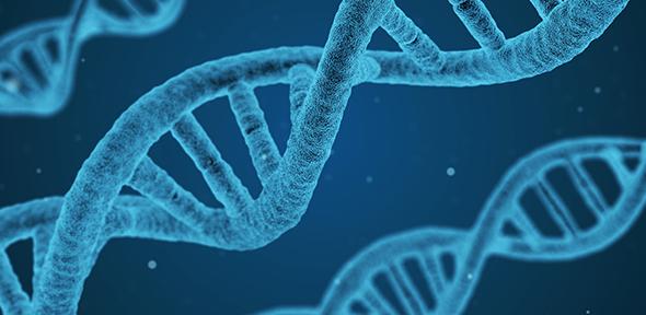 DNA