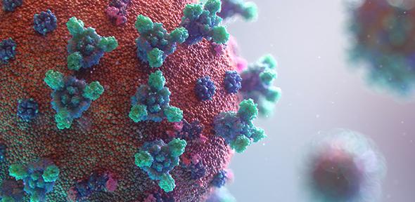 visualisation of the Covid-19 virus