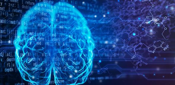 Computer generated image of a human brain