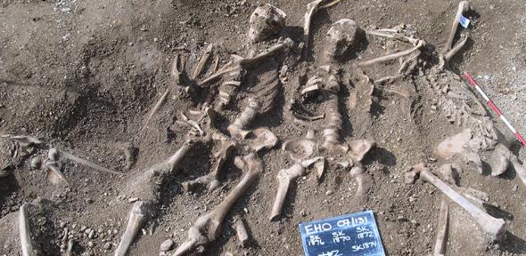 Massacred 10th century Vikings found in a mass grave at St John’s College, Oxford