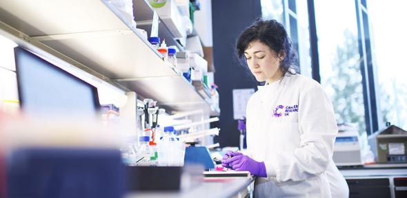 Dr Jessica Taylor working in the lab