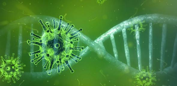 Coronavirus