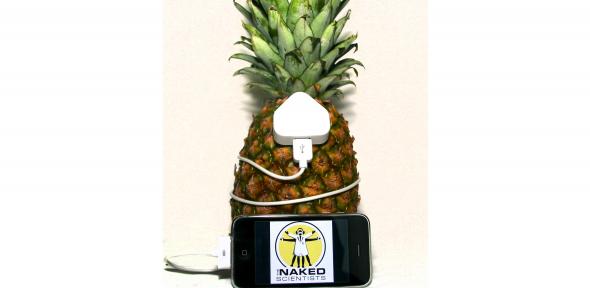 Possible to power an iPod with a Pineapple?