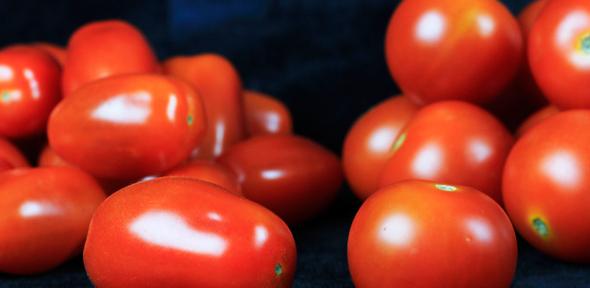 Cherry and baby plum tomatoes