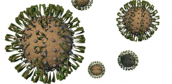 Coronavirus