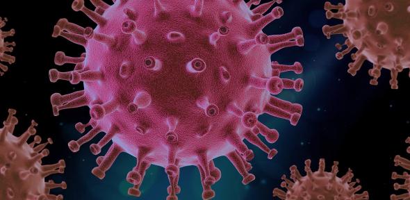 Coronavirus