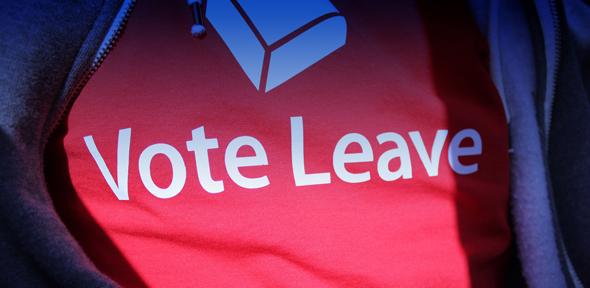 EU referendum CONTRAST