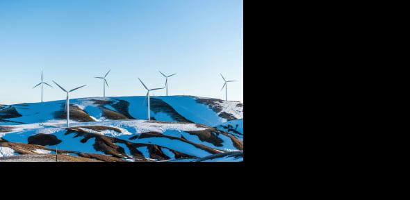 A wind farm in winter.