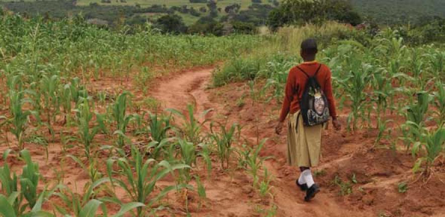 Vumilia walks 10 km to school