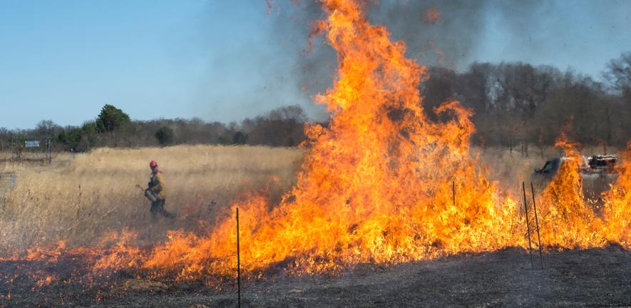 Prescribed burn of grassland