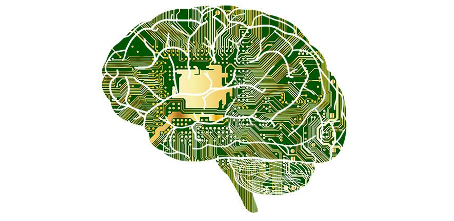 Graphic representing brain circuits