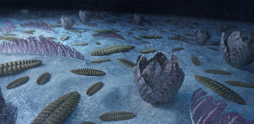 Artistic recreation of the marine animal forest