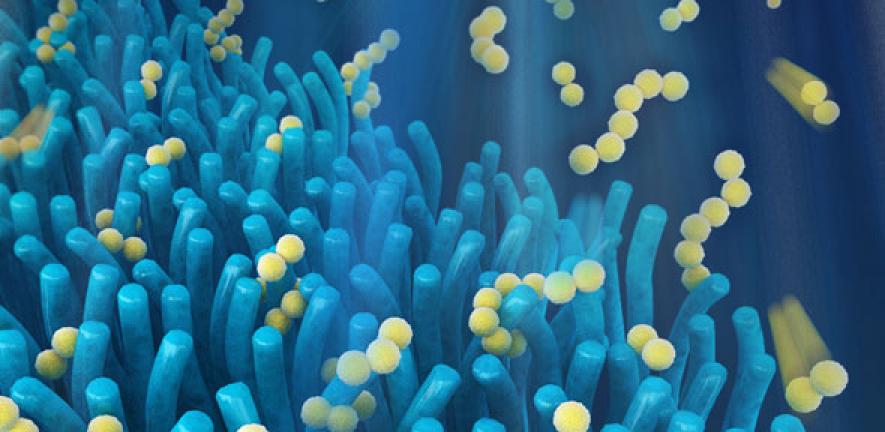 Computer visualisation of villi-like battery material