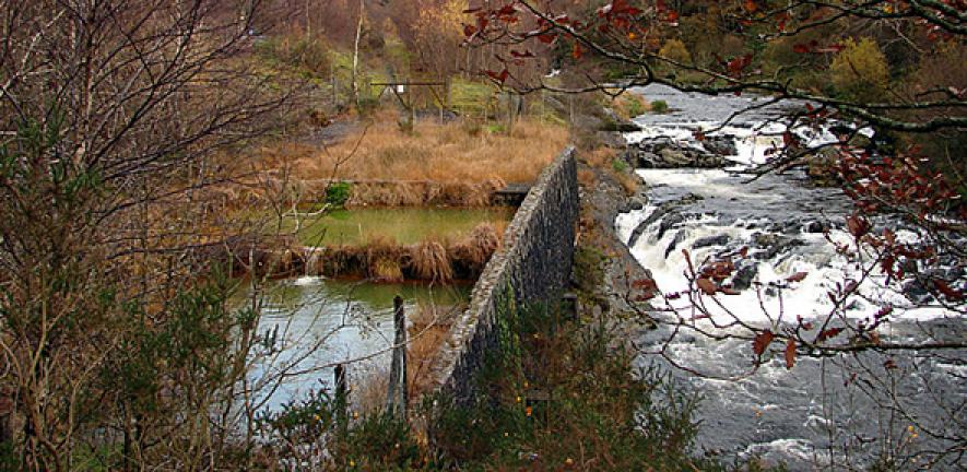 Filter bed beside Afon Rheidol Water draining from an adjacent disused silver-lead mine is passed through these filter beds so as to allow the toxic heavy metals to settle out, thereby reducing pollution of the river.