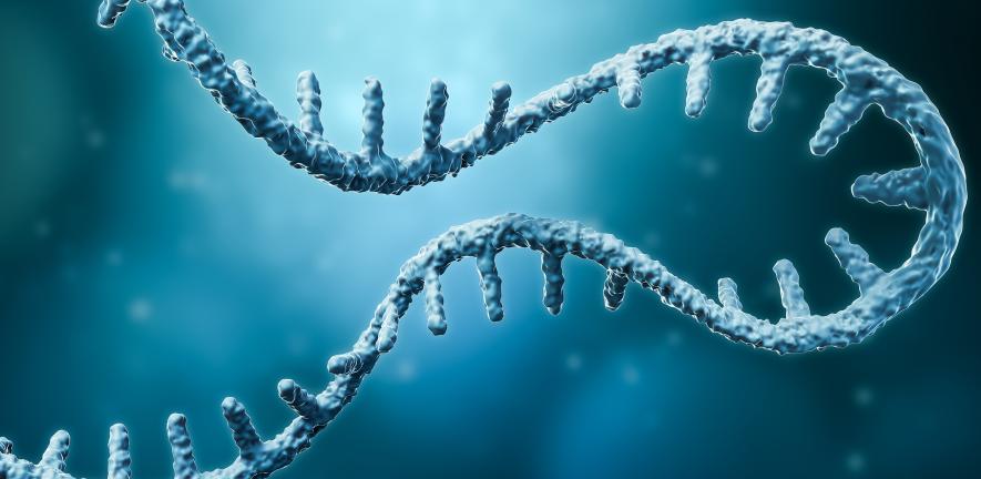 Illustration of mRNA strand