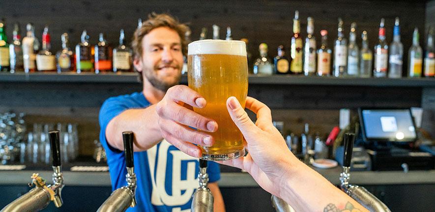 Barman handing a customer a pint of beer