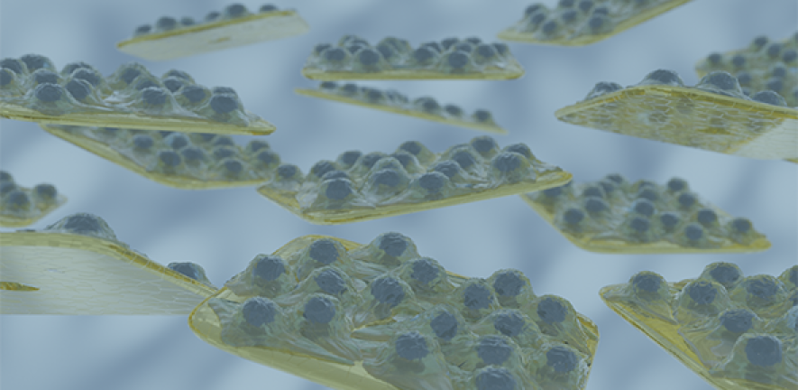 SemaCyte cell assaying platform
