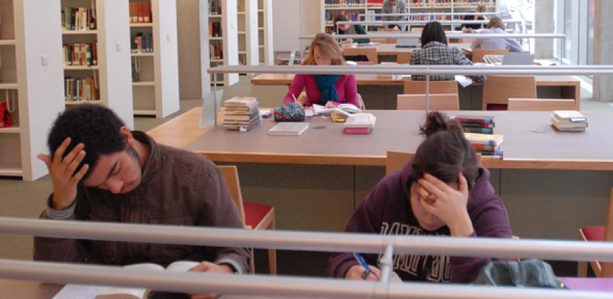 Students studying