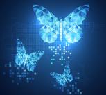Butterfly abstract technology