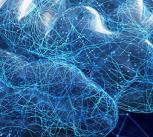 Illustration of human brain
