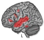 Areas highlighted in red on the right and left brain hemispheres show the frontal and temporal brain networks involved in the processing of linguistic information in intonation