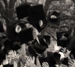 Congratulations, Graduates!