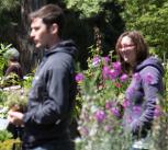 Festival of Plants