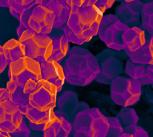 Crystalline metal–organic framework