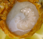 Queen bee larvae